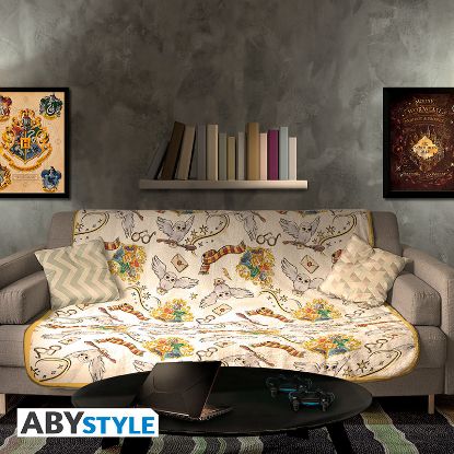 Εικόνα της HARRY POTTER BLANKET